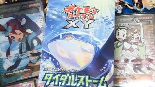 ホエルオー ポケットモンスター カラナクシ ヨルノズク プラスル ホエルオー ポケットモンスター カラナクシ ヨルノズク プラスル