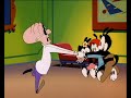 Animaniacs The Studio Shrink UK
