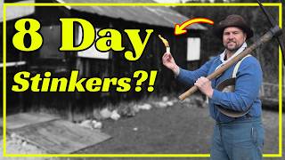 8 Day Stinkers! – The Forgotten Gold Rush Fire Starter!