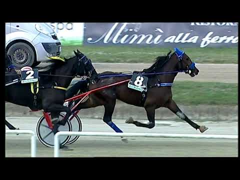 Napoli Trotto 15/10/2021 - 1ª corsa