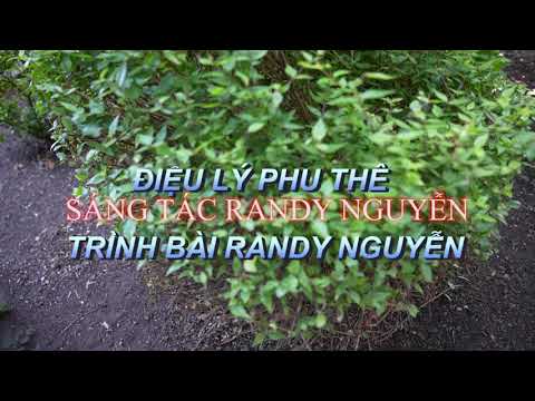 Thể hiện bởi Randy Nguyễn