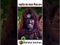 महादेव का काल भैरव का विकार रूप उज्जैन
