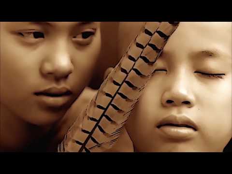 Oliver Koletzki feat. Leslie Clio - No Man No Cry Worakls Remix (Ashes and Snow Visuals)