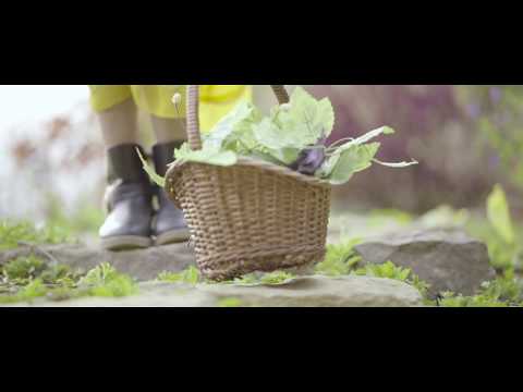 Download Mother How Are You Today 3gp Mp4 Codedwap