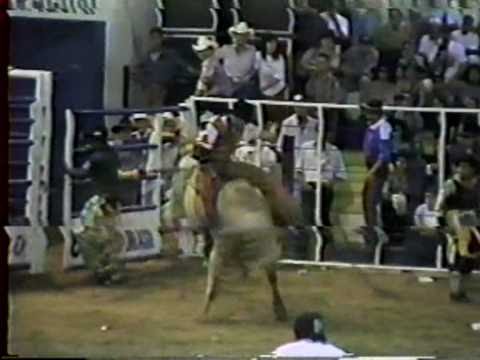 PERASSA PRODUÇÕES    RODEIO DE URUPÊS   1997     cia de rodeio familia perassa    touro  gelo  vs  furmiguinha