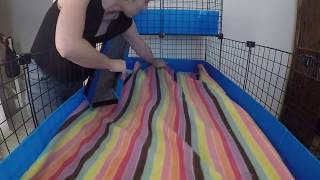 How to set up a guinea pig cage - bedding, accessories and Pigs