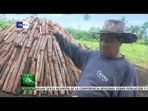 Empresa Agroforestal Guanahacabibes: ejemplo de eficiencia en Cuba