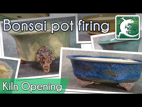 Opening - Bonsai pots Greg-Ceramics - Nov 2020 (2)