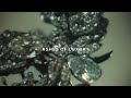 $UICIDEBOY$ - ASHES OF LUXURY (Lyric Video)