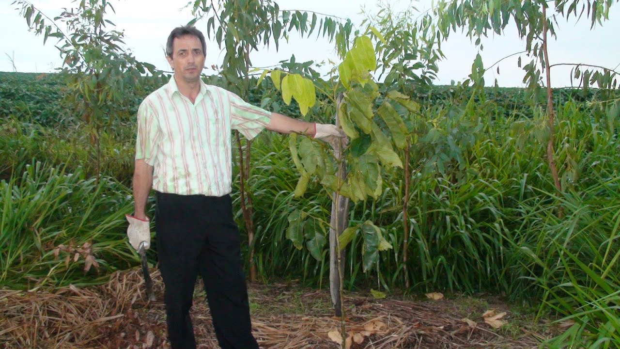 MATO GROSSO SE DESPEDE DO PIONEIRO RIVADALVE CHAMISKI QUE LUTOU PELO DESENVOLVIMENTO DAS RODOVIAS