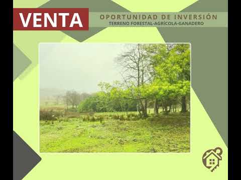 Inversión de Venta- Terreno Agrícola/Ganadero/Forestal-Región Araucanía-Angol
