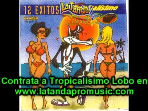 Tropicalisimo lobo 12 exitos vid 05 piel candente.CONTRATALOS AQUI