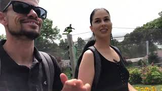 BRASILEIROS VIVENDO O SONHO DE MORAR NOS ESTADOS UNIDOS EPISODIO#1