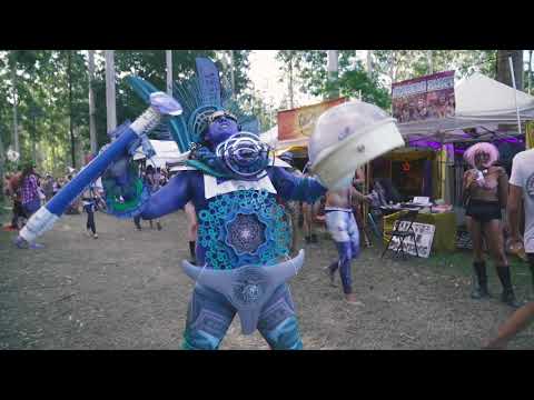 Rabbits Eat Lettuce 2017 Official Aftermovie