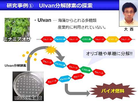 研究室「ゲノム解析学」【農芸化学コース】農林海洋科学部