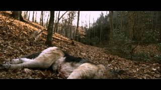 Cabin Fever - Trailer
