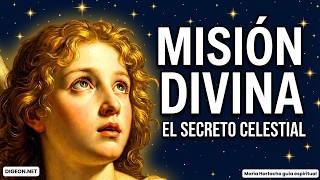 Tienes una MISIÓN DIVINA y Aún No lo Sabes: Mensaje Urgente del Arcángel Gabriel ✨|DIGEON|