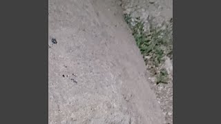 Download lagu DROP NGAJOAK SOAK mp3