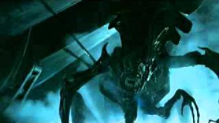 Preparing the Bishop's Countdown