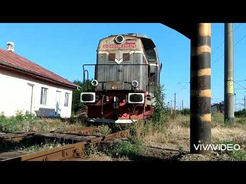 O LDH si un iepuras poznas!