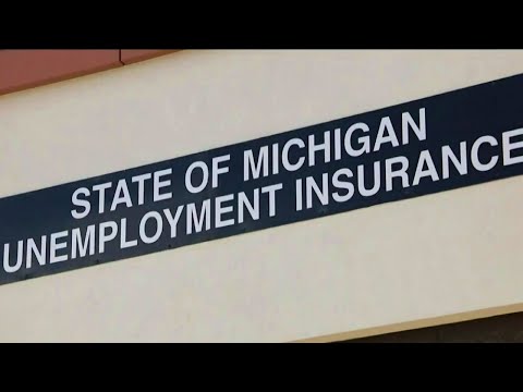 Director of Michigan Unemployment Insurance Agency appears before House Oversight Committee