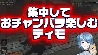 【鬼武者wayofthesword】 おチャンバラ楽しむティモ⭐️