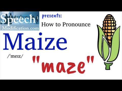 How to Pronounce Maize