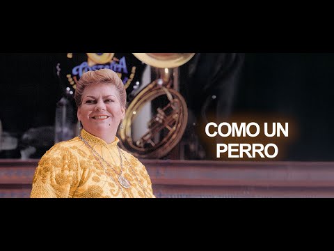 Miniatura de Como un perro