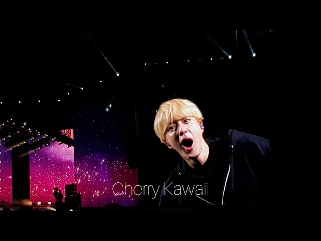 BTS (방탄소년단) WORLD TOUR LY- SPEAK YOURSELF IN BRAZIL [소우주 (Mikrokosmos)] FANCAM