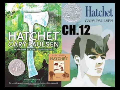 Hatchet - Audiobook Chapter 12