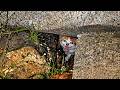 A starving kitten cried from a crack in the rain...but it wasn’t just one. DEFAULT Thumbnail