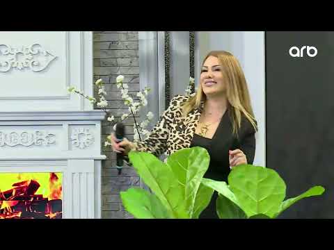 Həmin Zaur | Ahu Günel - Sev məni