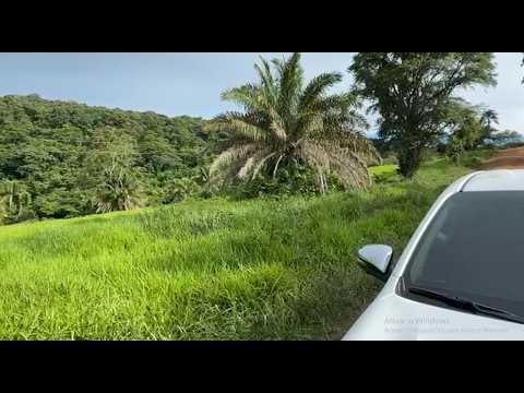 Fazenda em Doverlândia GO. Área de 125 Alqueirão📍Sendo 90 Alq. de Capim 📍Terra de Cultura e Cerrado
