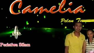Download lagu PERISTIWA SILAM - AYU MUSTIKA | CAMELIA mp3