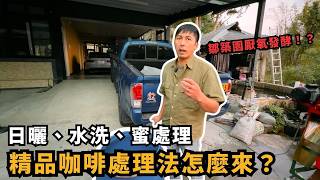 [單品] 音樂家到底是不是增味or香精豆？