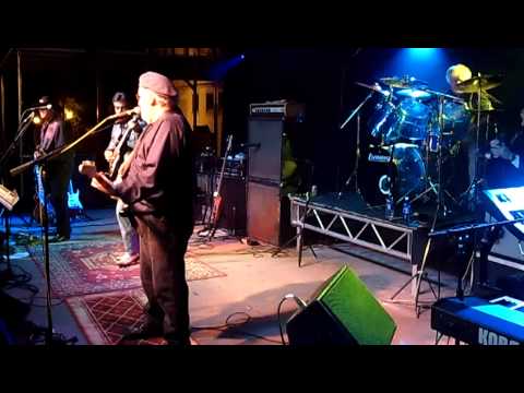 Cat Eyes - Sunblind Lion