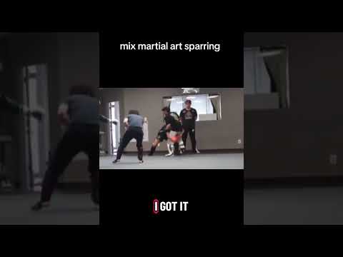 mma sparring
