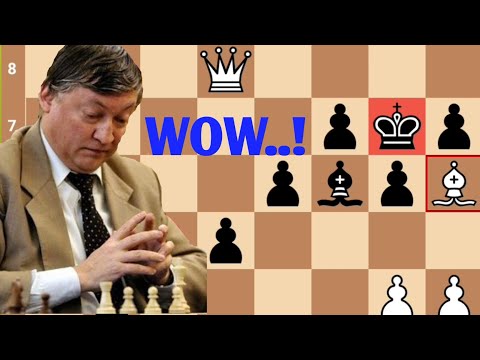Anatoly Karpov vs Gata Kamsky | Understanding Strategic Idea | Alekhine Memorial (1992) · 1-0