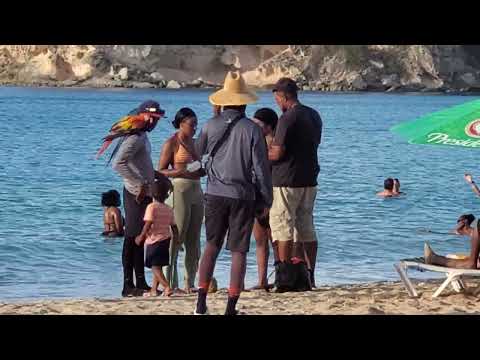 Macao Beach DR...2023