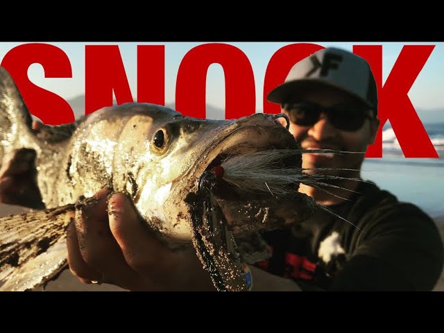 Mexico Fishing pt.2 | Catch and Cook - SNOOK