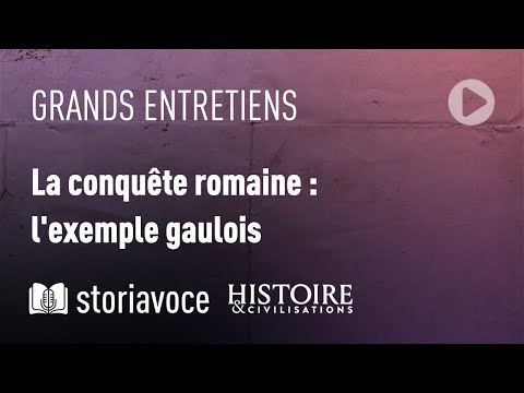 Vidéo de Jean-Louis Brunaux