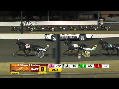 Meadowlands November 29, 2014 - Race 8 - Lindwood Player