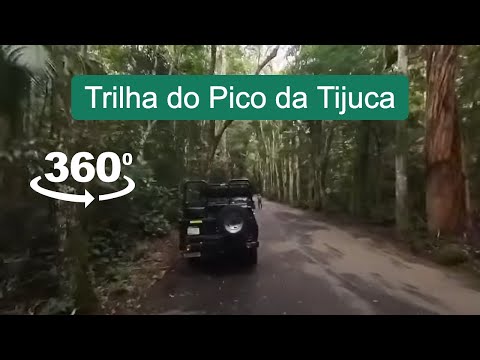 Video 360 da trilha para o topo do Pico da Tijuca, o segundo maior ponto no Rio de Janeiro no Parque Nacional da Tijuca.
