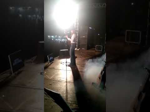 Violeira de Raça - Dalila Viola