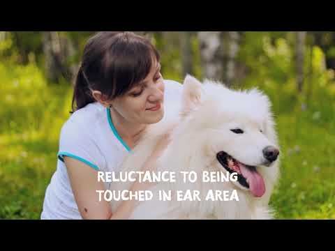 An Overview of pH•notix™