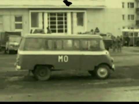 Sztywny Pal Azji   Nie Gniewaj Się Na Mnie Polsko