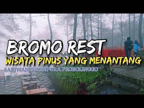 Bromo Rest, Wisata Hutan Pinus Di Sariwani Sukapura Bromo Rest, Wisata Hutan Pinus Di Sariwani Sukapura