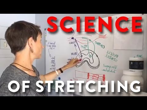 The Science of Stretching for Goalies: Hockey Goalie Training