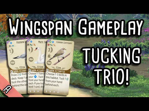 The Full Tuck Of Dreams! | Wingspan Gameplay