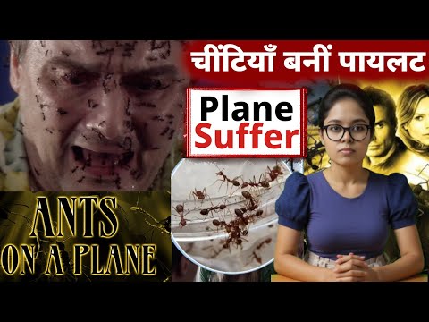 🎬 Ants on Plane Movie Review | Fun or Waste of Time? | AS Talk Now 🐜✈️